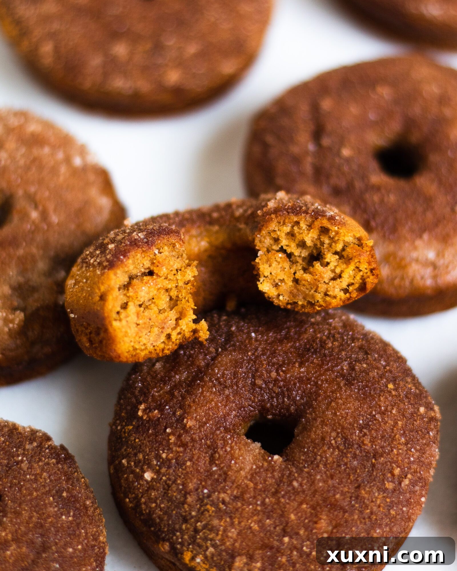 A perfectly baked cinnamon sugar donut, halved to reveal its soft interior, with a bite taken from one piece. It's a healthy, gluten-free, vegan treat that tastes like it came straight from a bakery, embodying the essence of fall.