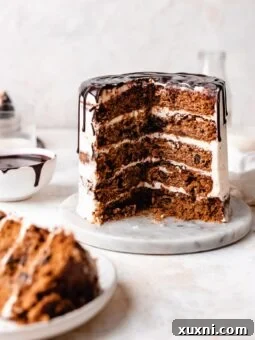 sliced eggless chocolate chip cookies cake