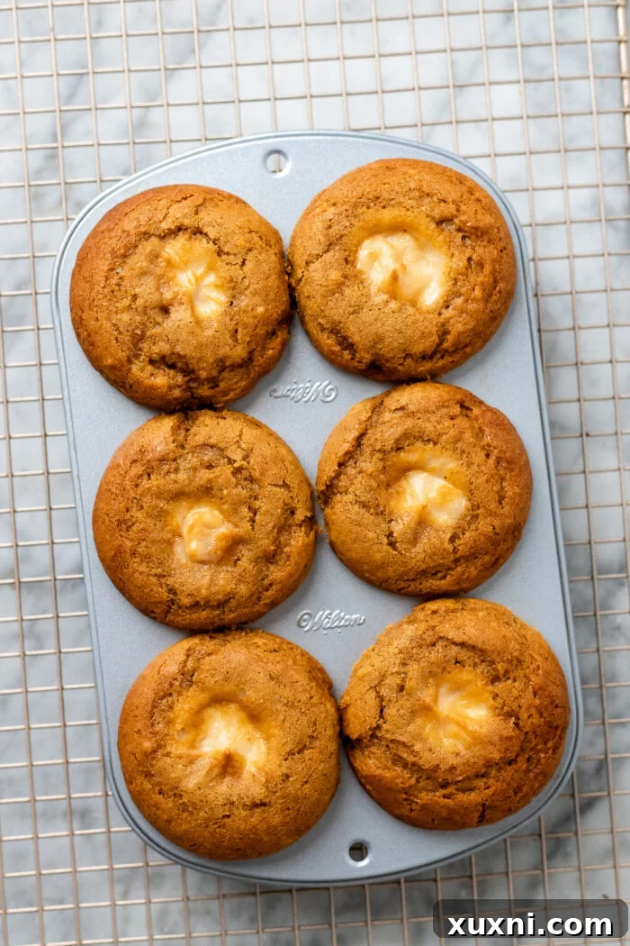 baked vegan pumpkin muffins