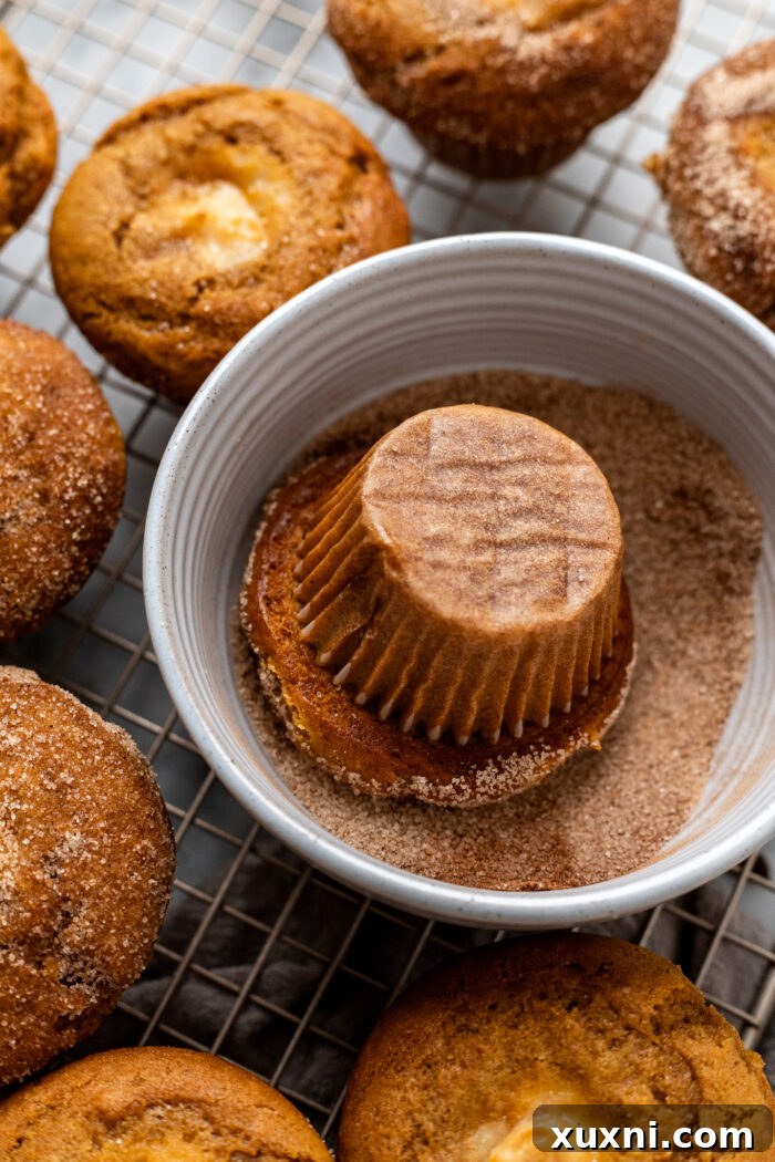 pumpkin muffin being coated in cinnamon sugar topping