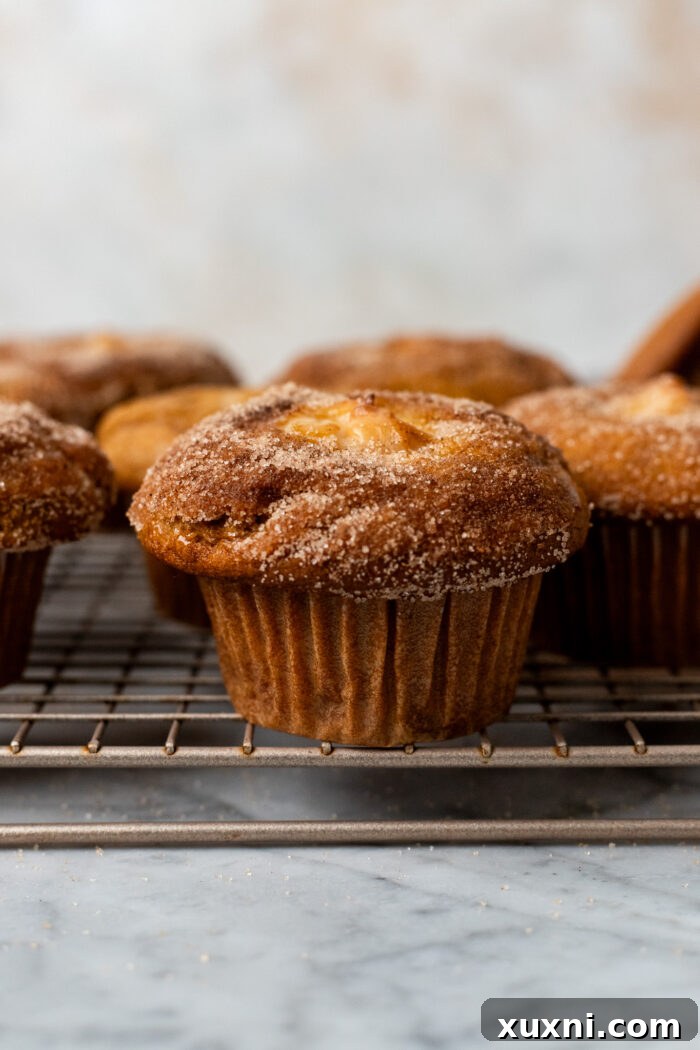 topped vegan pumpkin muffin with cinnamon sugar