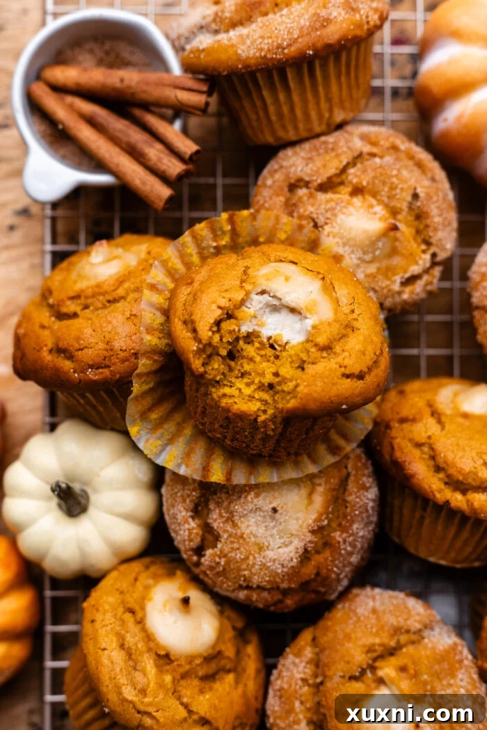 bitten vegan pumpkin muffin showing texture and filling