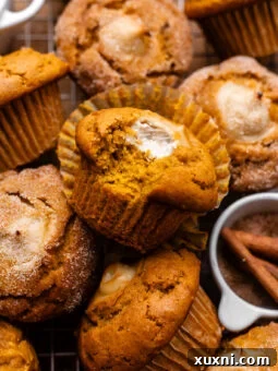 bitten vegan pumpkin muffin