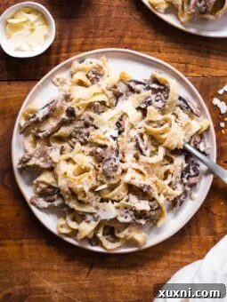 Healthy Fettuccine Alfredo, a dairy-free and vegan alternative, beautifully plated with pasta and sauce.