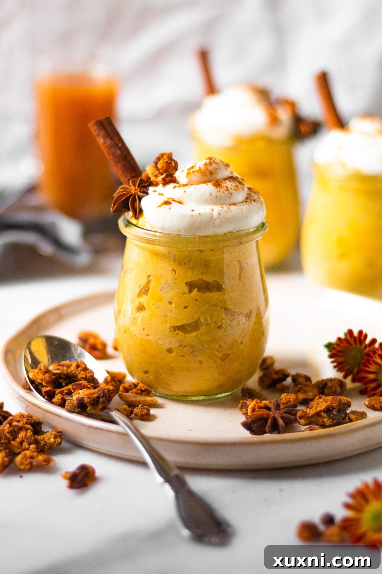 Healthy oatmeal jars with whipped cream and granola sprinkled around them, showcasing delicious pumpkin pie oatmeal ready to eat