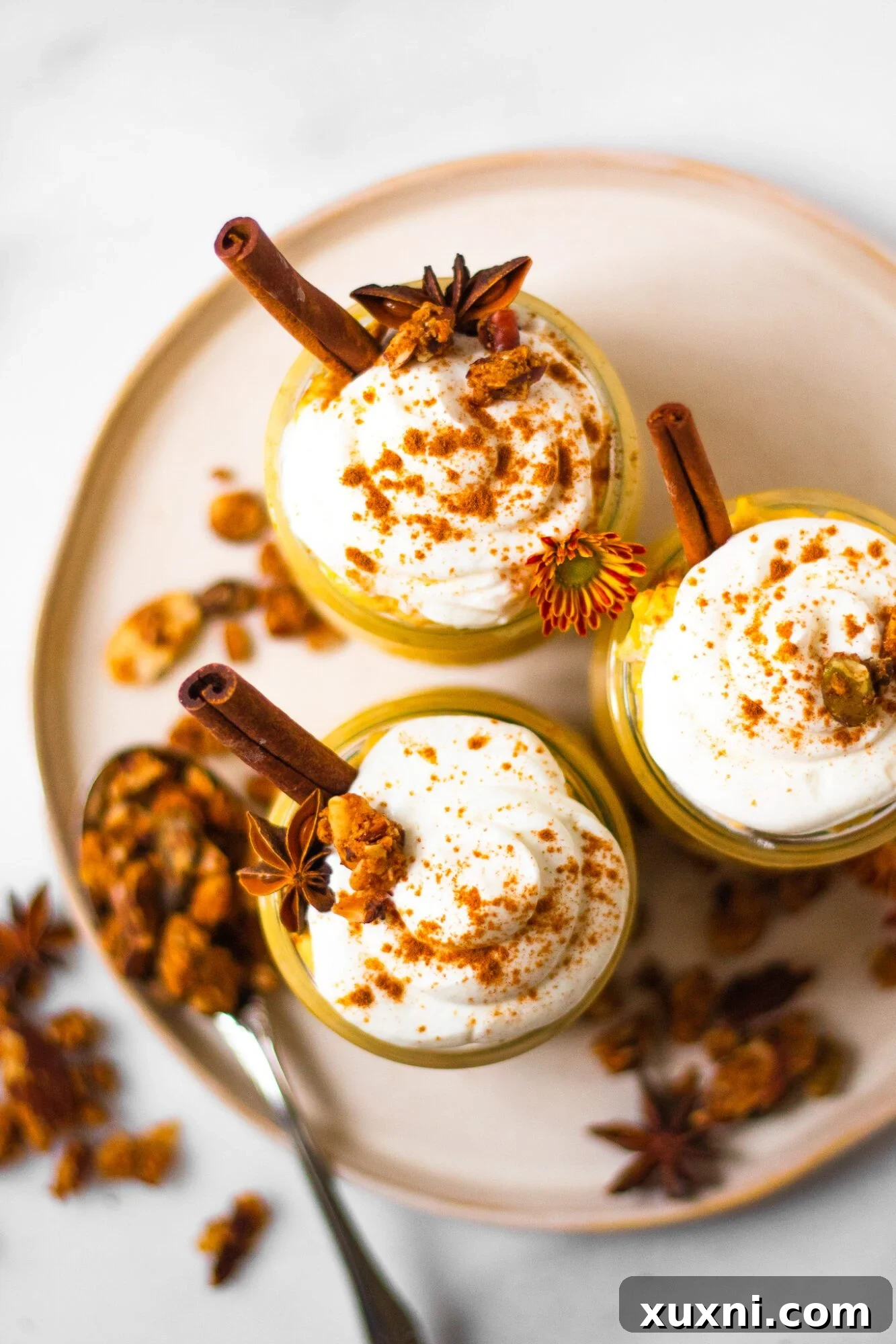 Overhead view of healthy pumpkin spice oats neatly arranged in jars, perfect for grab-and-go breakfasts or meal prep