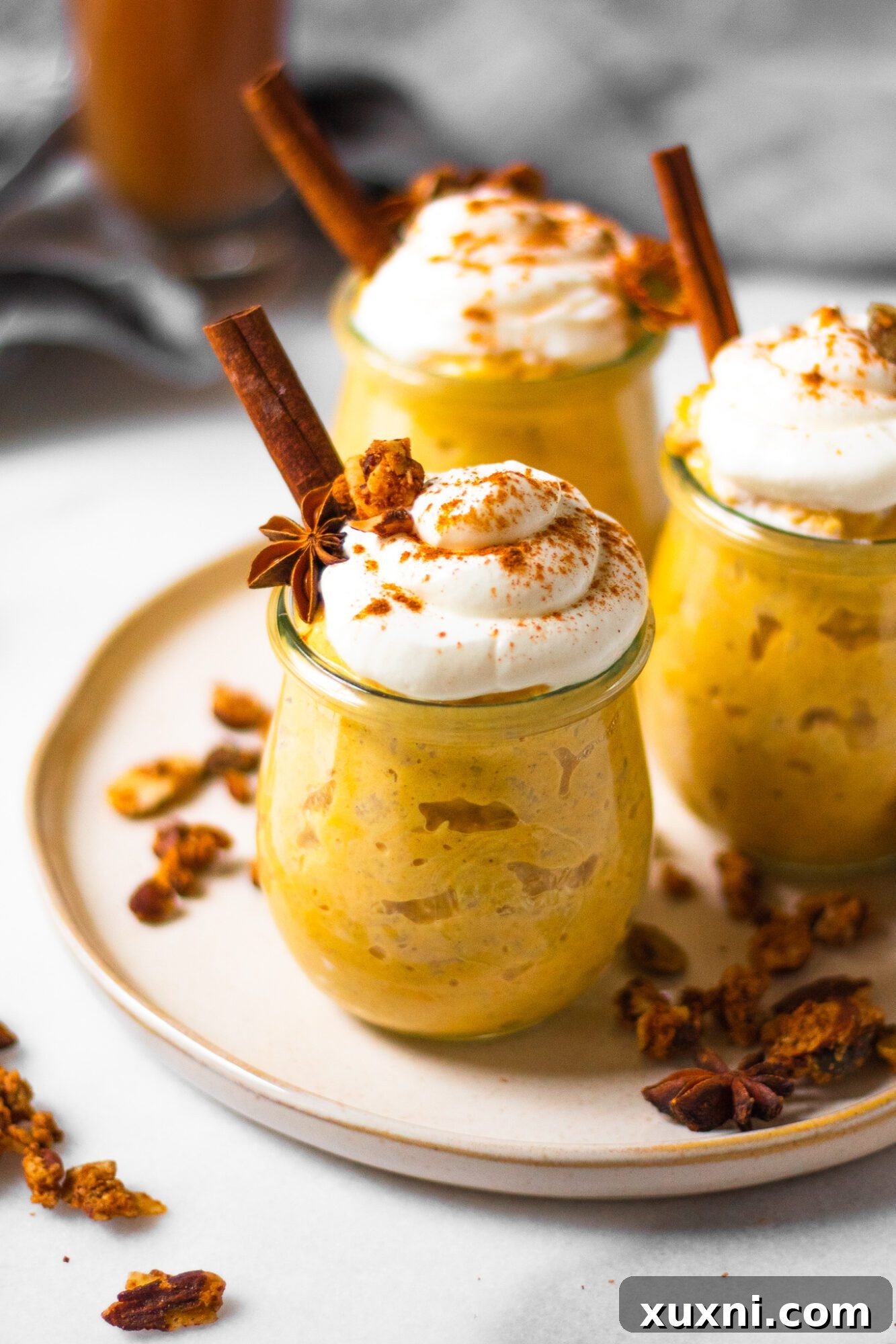 A collection of pumpkin pie oatmeal jars, beautifully prepared and ready to be enjoyed as healthy breakfast options