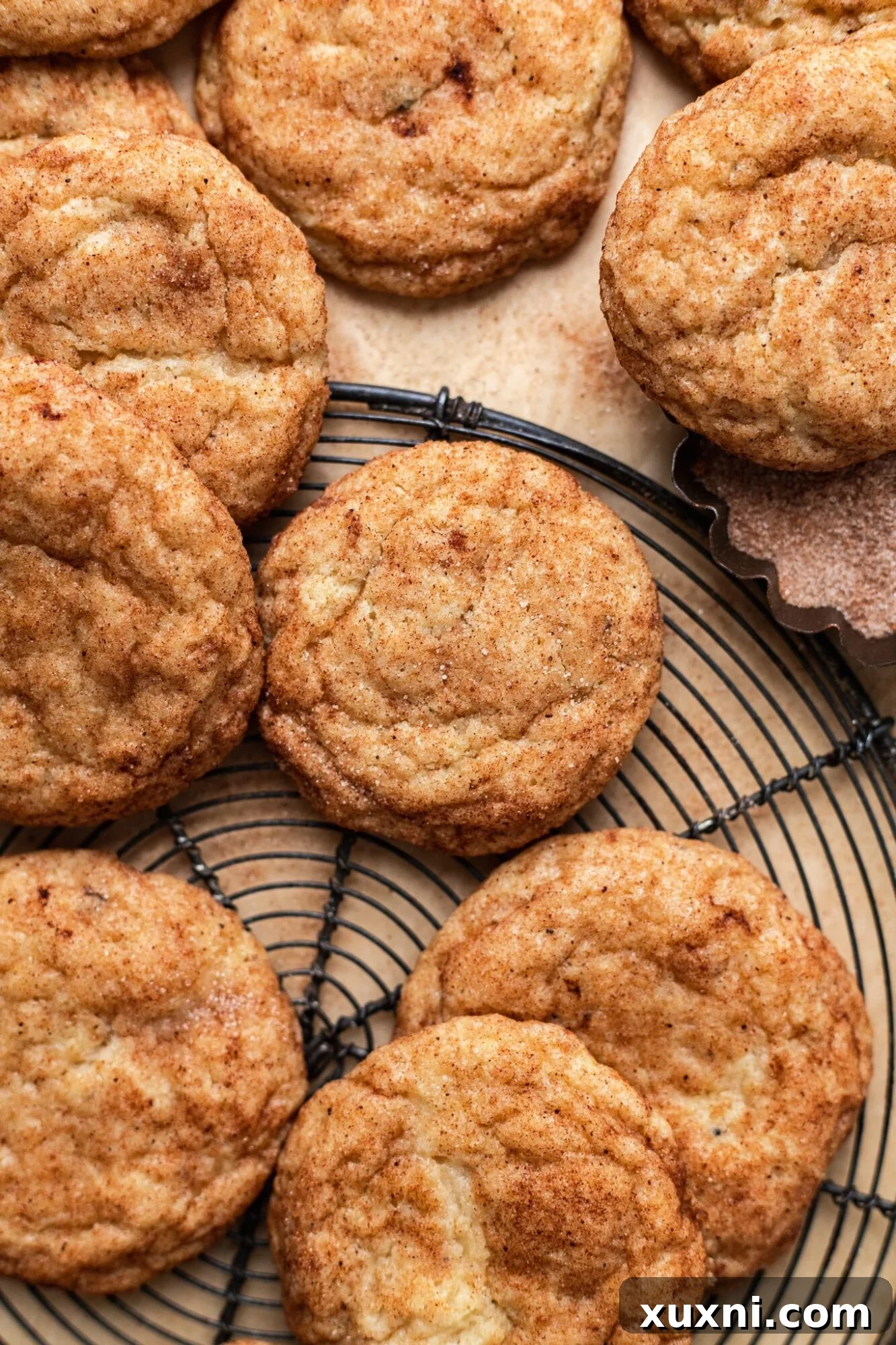 Deliciously soft and chewy vegan snickerdoodle cookies, perfect for any occasion. Gluten-free and dairy-free.
