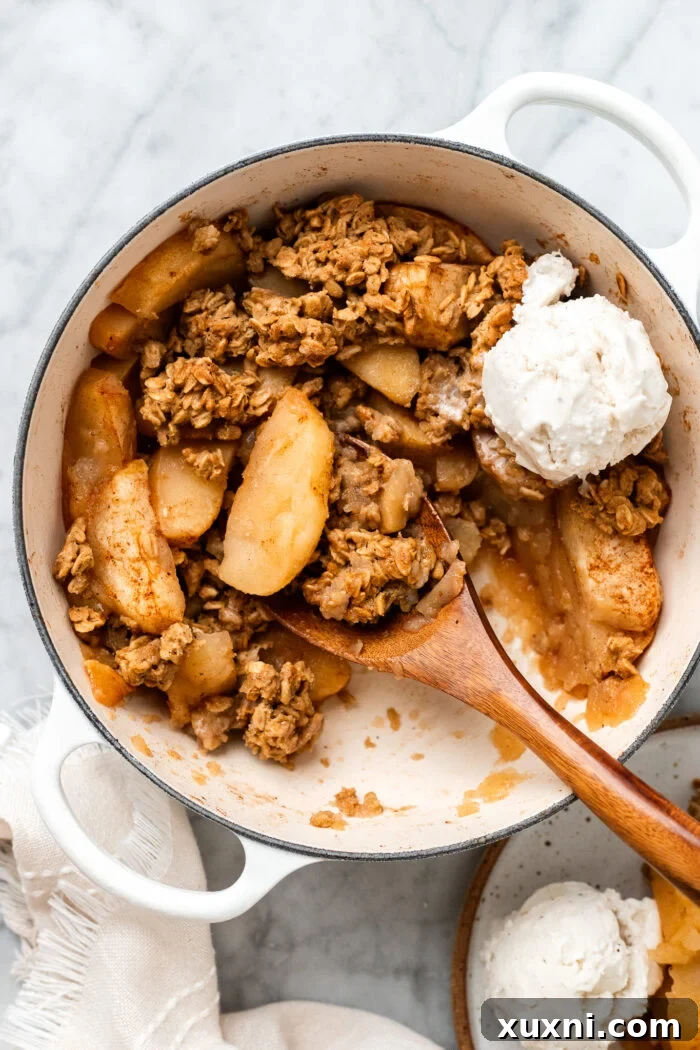 Quick Vegan Apple Crisp Naturally Sweetened 2 Exquisite vegan apple crisp nestled in a rustic baking dish, ready to be enjoyed.