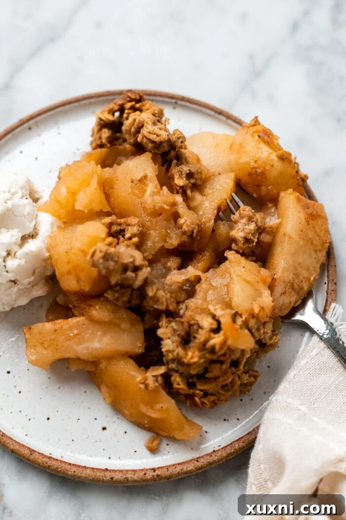 Quick Vegan Apple Crisp Naturally Sweetened 3 A delightful plate of vegan apple crisp, perfectly golden brown and ready to be savored.