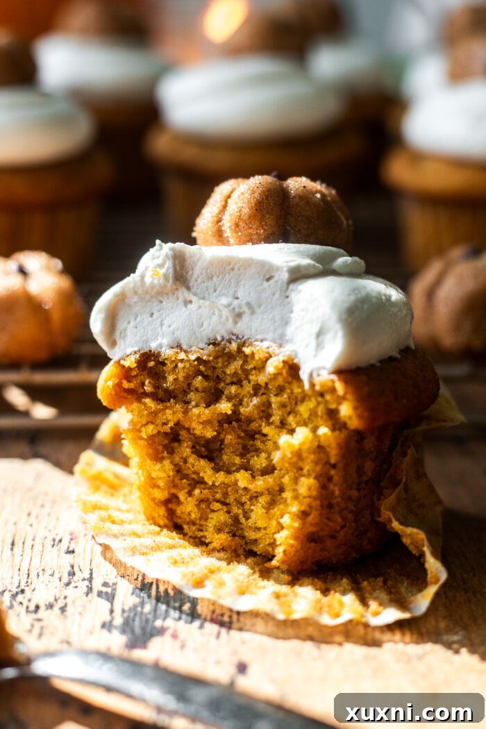 Another view of a bitten vegan pumpkin cupcake, highlighting its rich frosting.