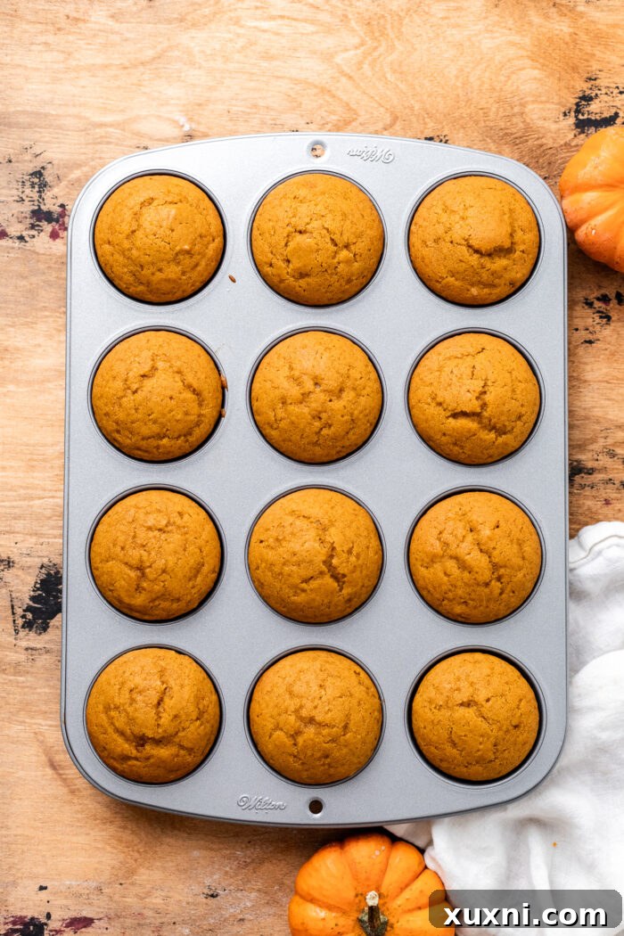 Freshly baked vegan pumpkin cupcakes cooling in a muffin tin.