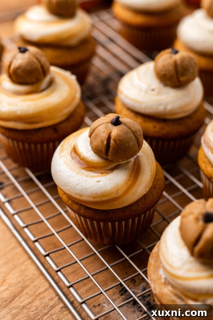 Frosted vegan pumpkin cupcakes arranged beautifully.