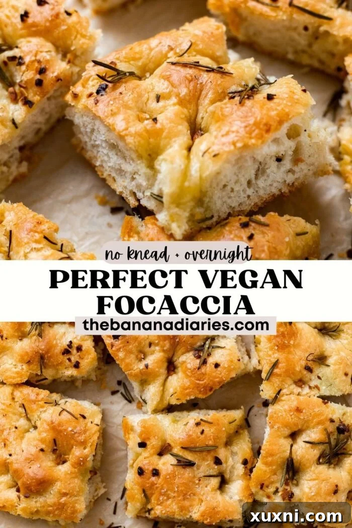 Easy Crisp Vegan Focaccia Bread Recipe (No Kneading! Great for Beginners!) pinterest pin
