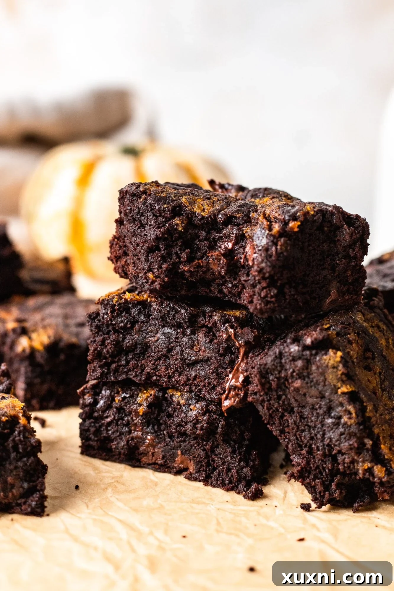 Fudgy Vegan Pumpkin Brownies swirled with a creamy pumpkin cheesecake layer, topped with chocolate chips.