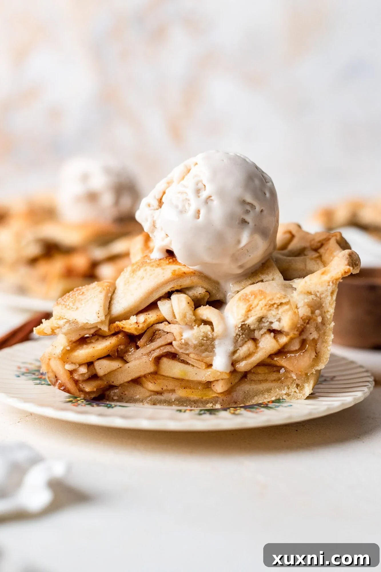 The BEST Vegan Healthy Apple Pie (Gluten Free Option)