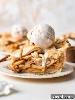 The BEST Vegan Healthy Apple Pie (Gluten Free Option)