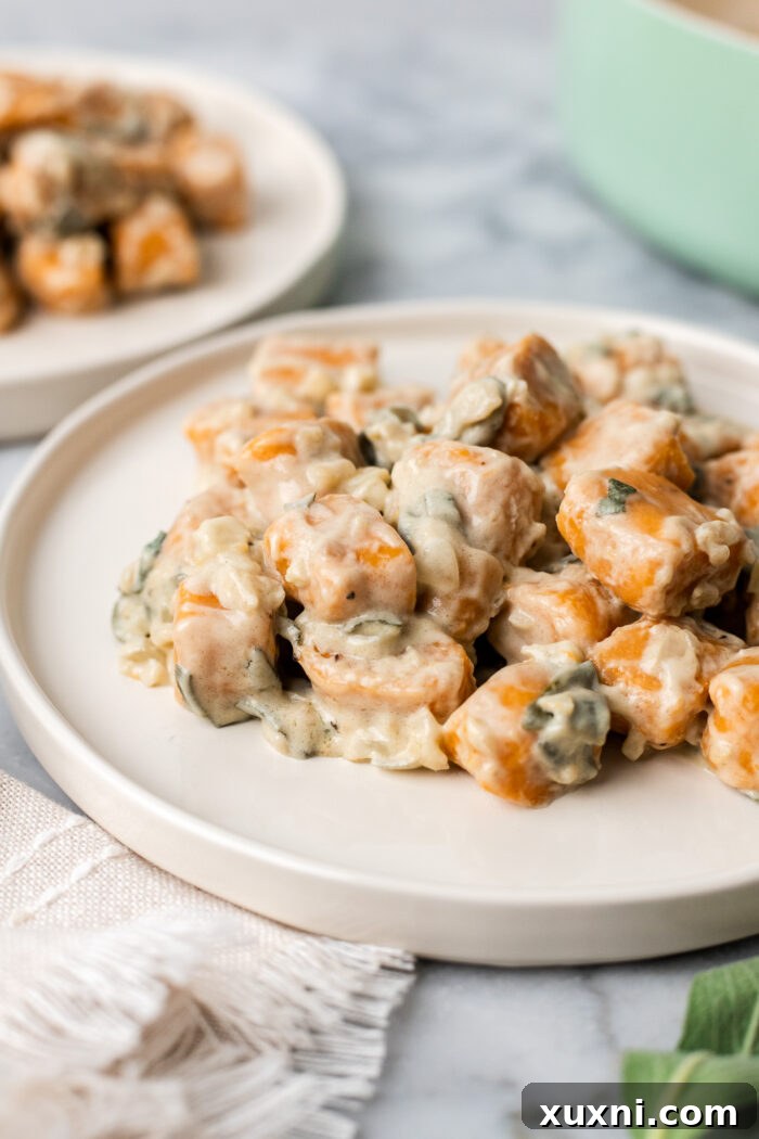 Plate of gnocchi with sauce