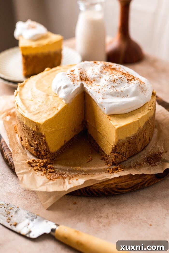 Deliciously sliced no-bake vegan pumpkin cheesecake, ready to be served.