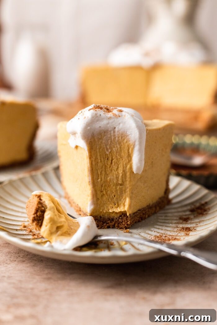 A perfectly cut slice of vegan pumpkin cheesecake, ready to be enjoyed.