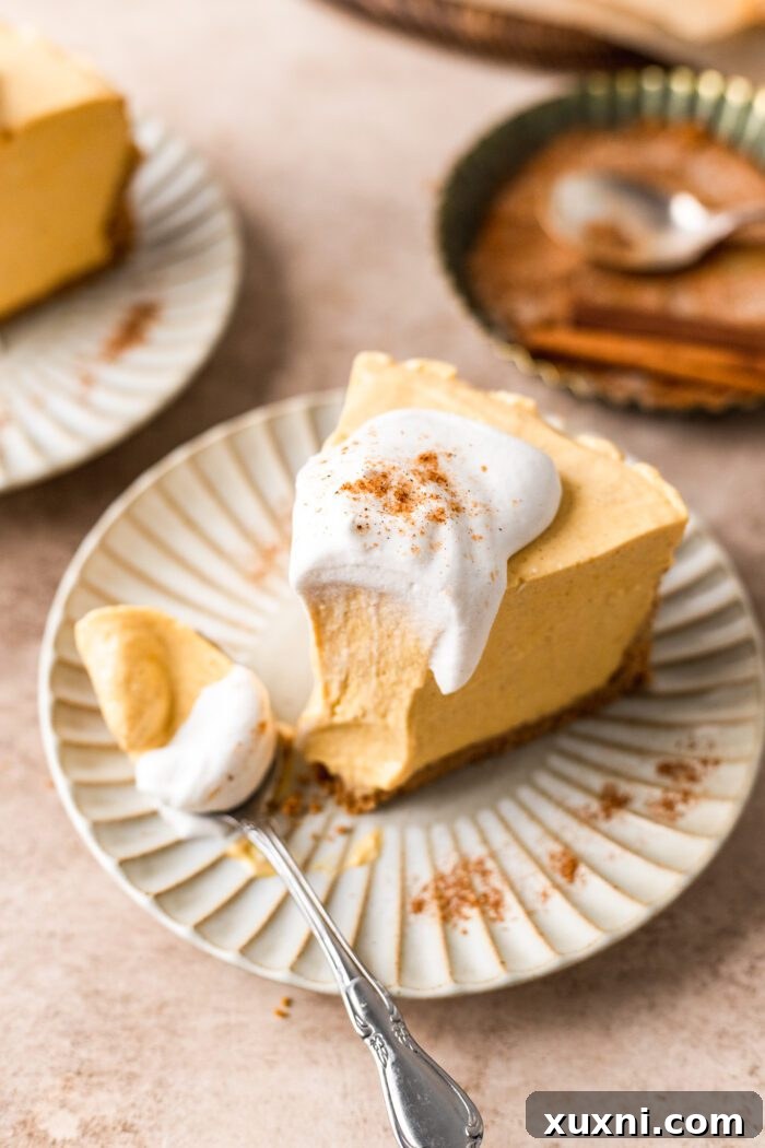 Whole no-bake vegan pumpkin cheesecake, perfectly set and ready to be sliced.