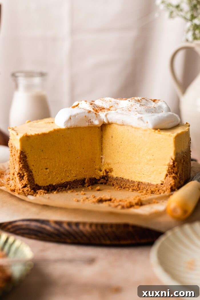 Beautifully cut slices of no-bake vegan pumpkin cheesecake, showing its rich texture.