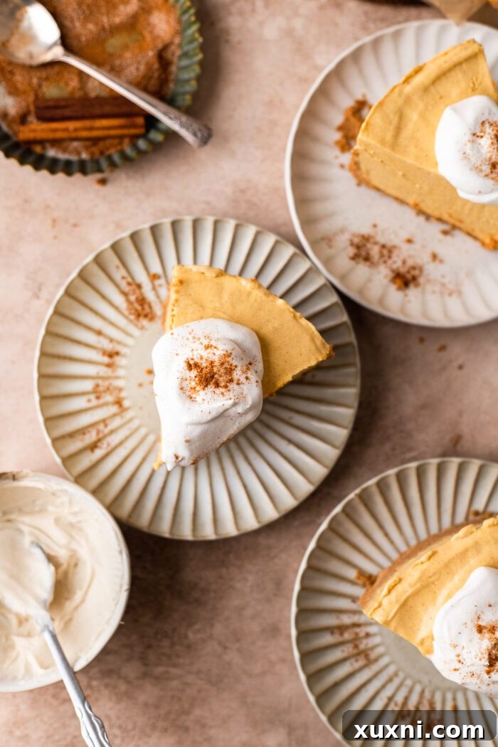 Multiple slices of the finished no-bake vegan pumpkin cheesecake, garnished beautifully.