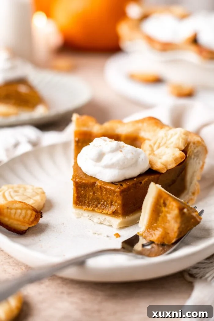 A beautiful slice of vegan pumpkin pie served on a plate.
