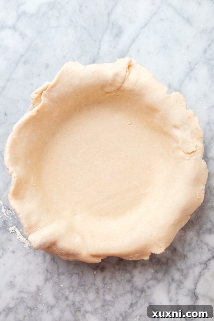 Easy Flaky Vegan Pie Crust The All-Vegan Butter Method 8 Pie dough placed in the dish, before the edges are crimped for decoration.