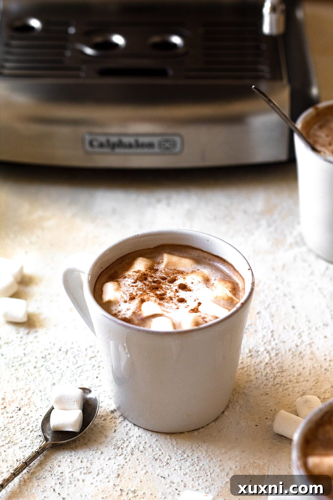 Mug of cocoa with marshmallows