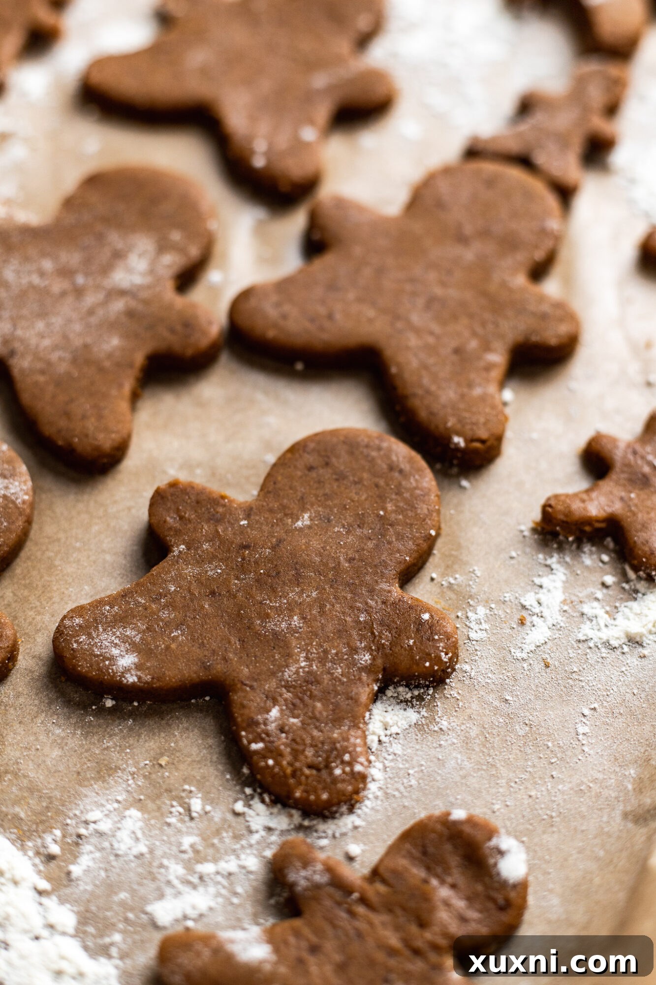 vegan gingerbread cookie dough