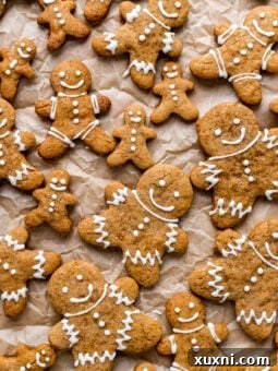 Soft & Chewy Vegan Gingerbread Cookies (Gluten Free!)