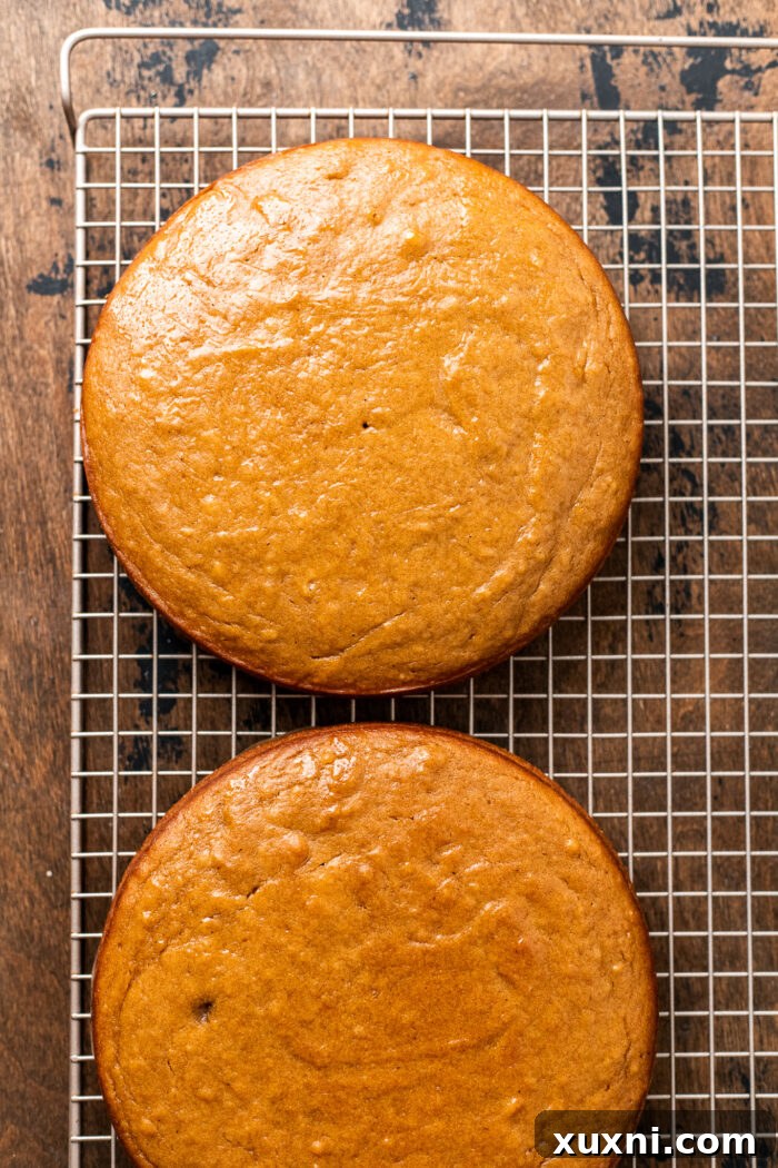 Freshly baked vegan spice cake layers cooling, ready for frosting.