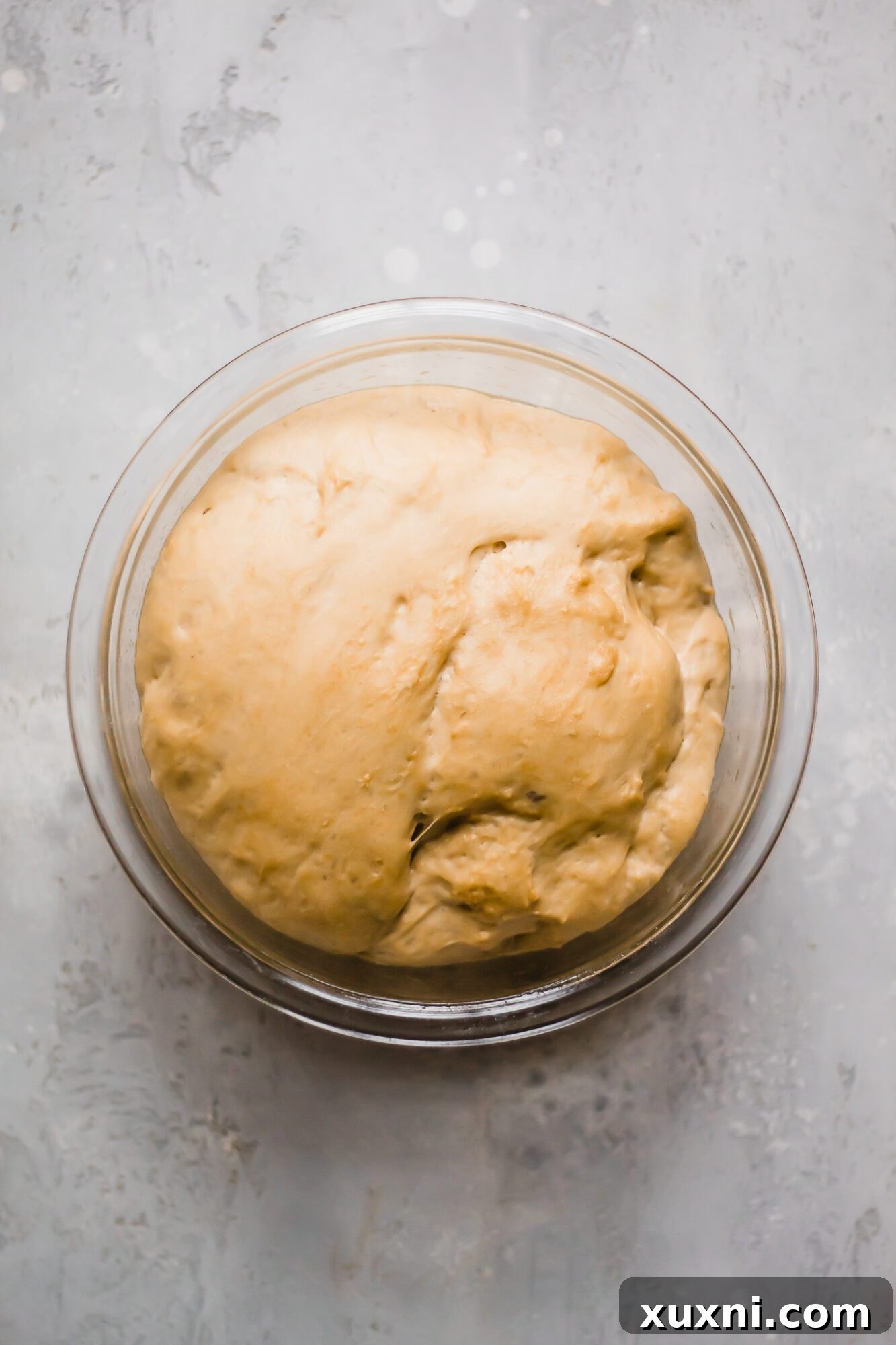 Dough after its first rise, beautifully doubled in size and airy