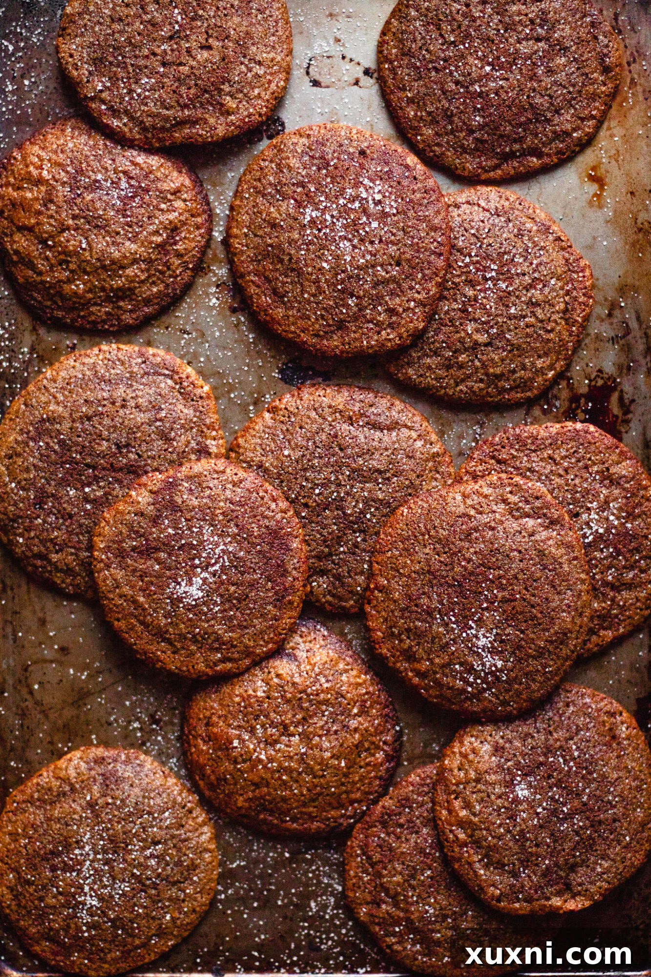 tray of chewy ginger molasses cookies