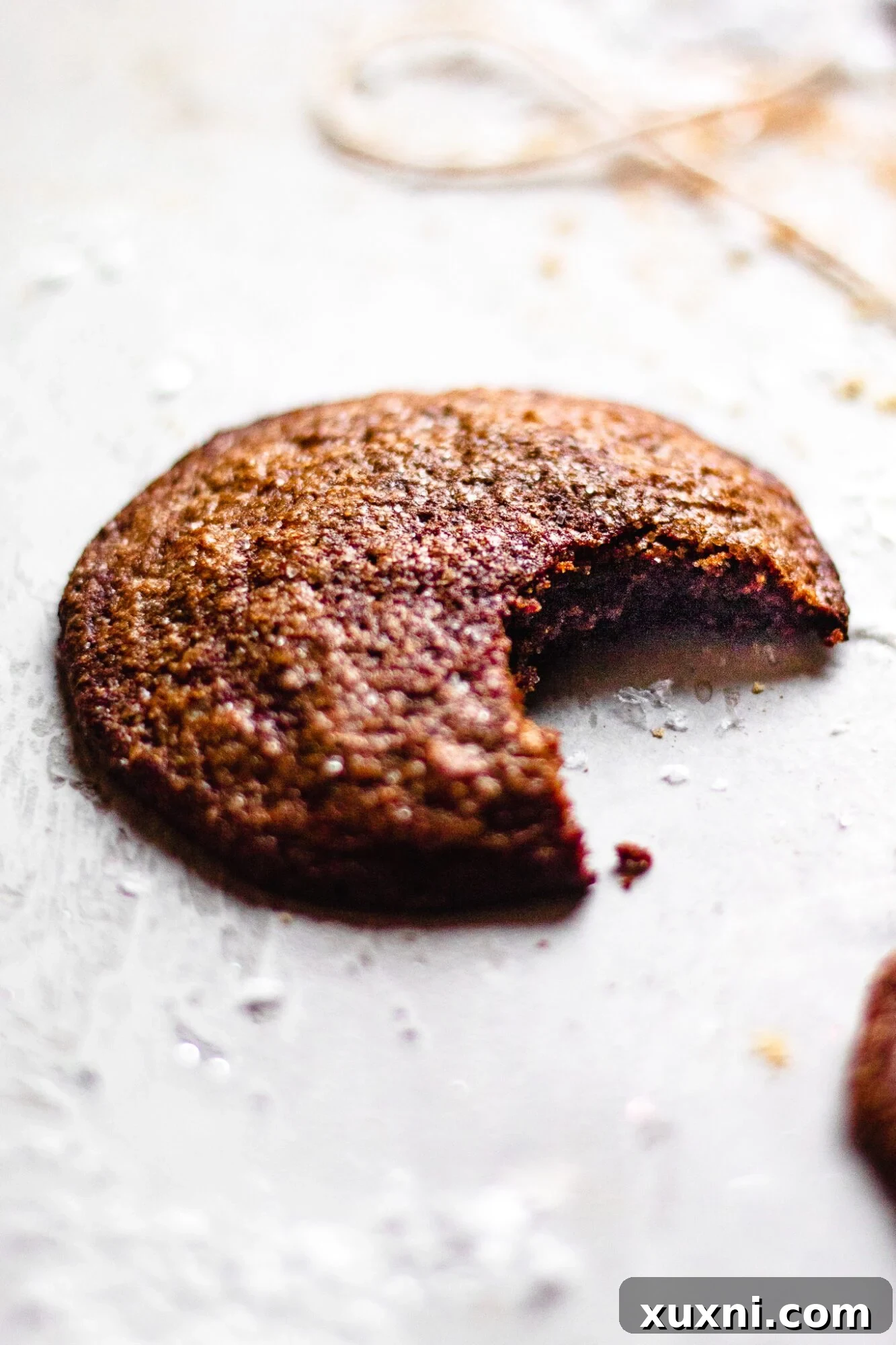 bite of chewy ginger molasses cookie