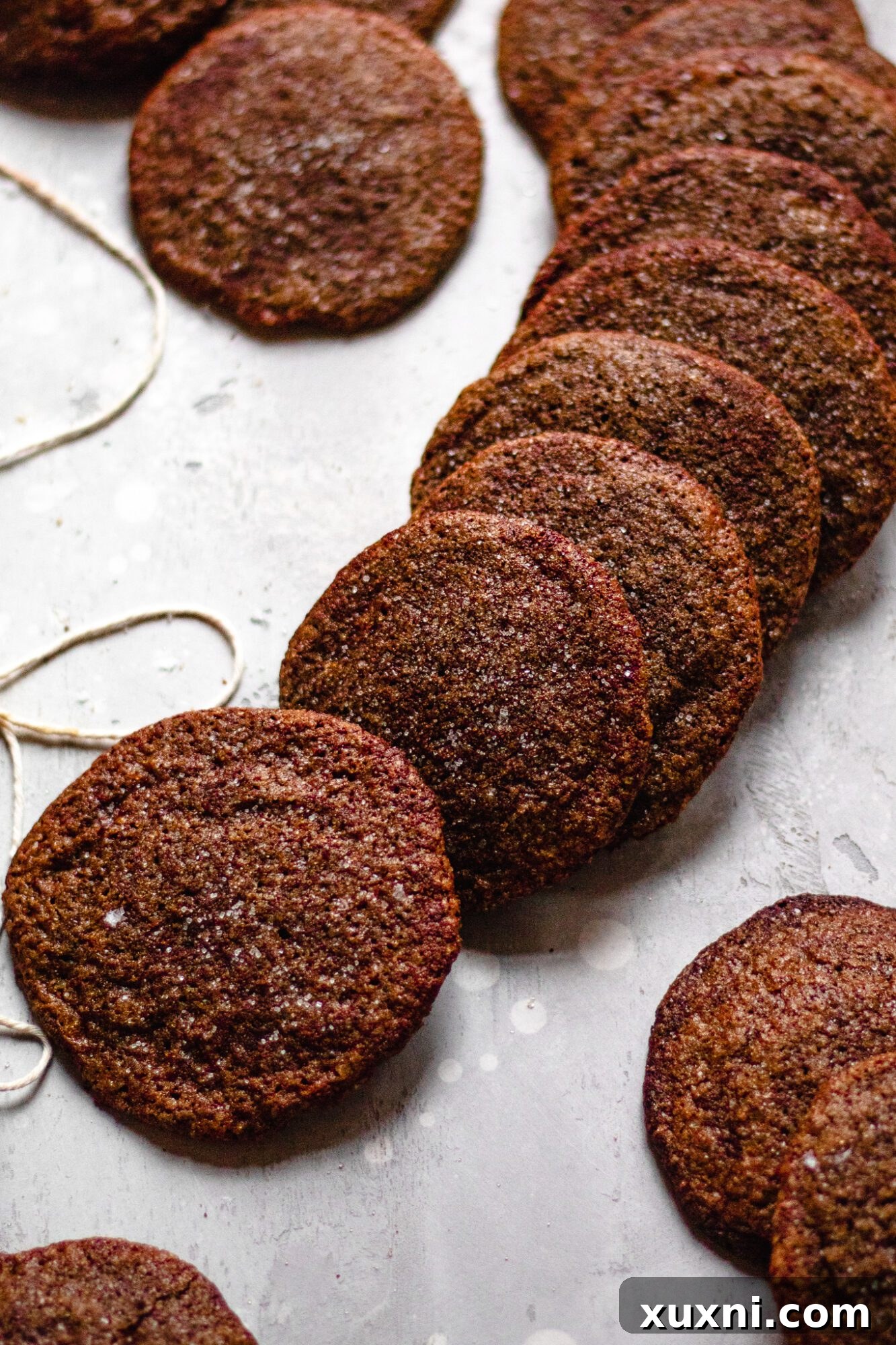 line of ginger molasses cookies