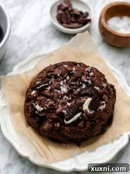 Giant single-serve dairy-free Nutella-stuffed Oreo double chocolate chip cookie on a plate, showcasing its impressive size and rich chocolate texture.