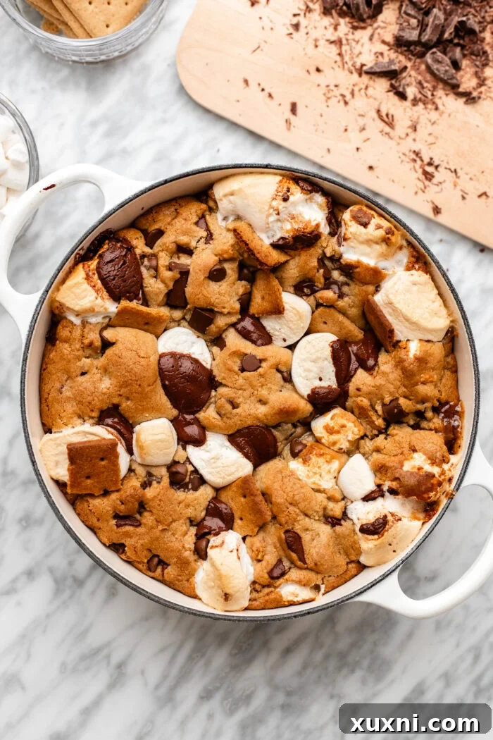 Warm, gooey vegan scoopable s'mores cookie in a dish, ready to be served.