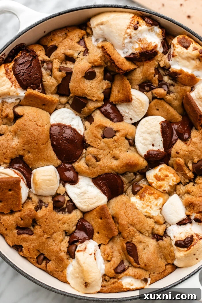 Close-up of a single, perfectly baked vegan scoopable s'mores cookie.