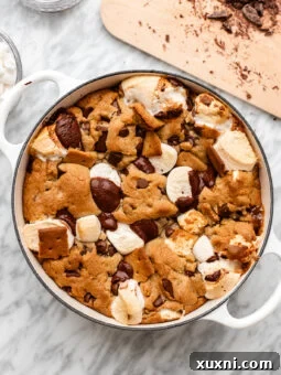 S'mores Stuffed Viral Scoopable Cookies - Made VEGAN!