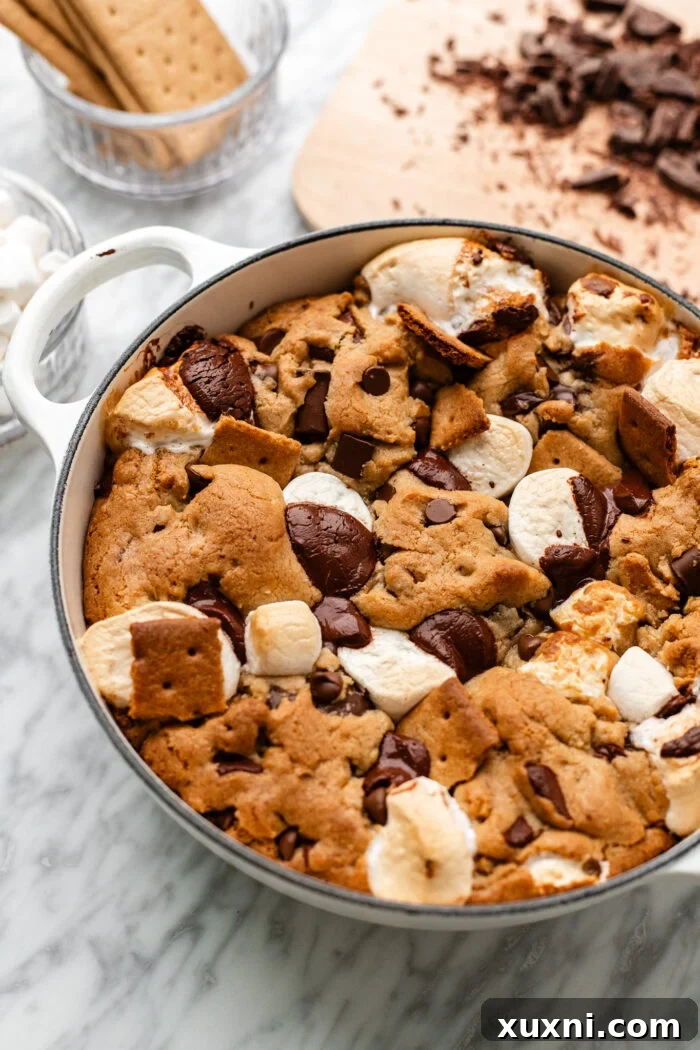 Freshly baked vegan s'mores scoopable cookies, golden brown with toasted marshmallows.