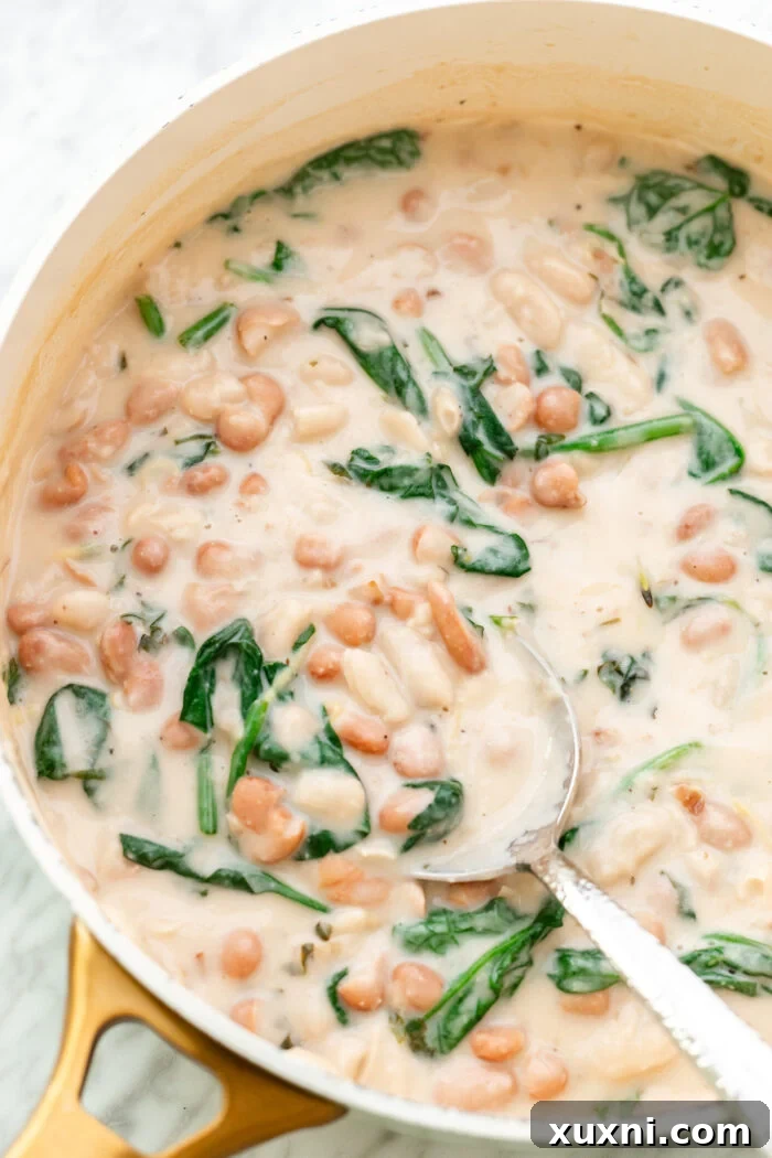 Close-up of a bowl of creamy lemon butter beans with spinach, garnished with fresh dill, ready to eat.