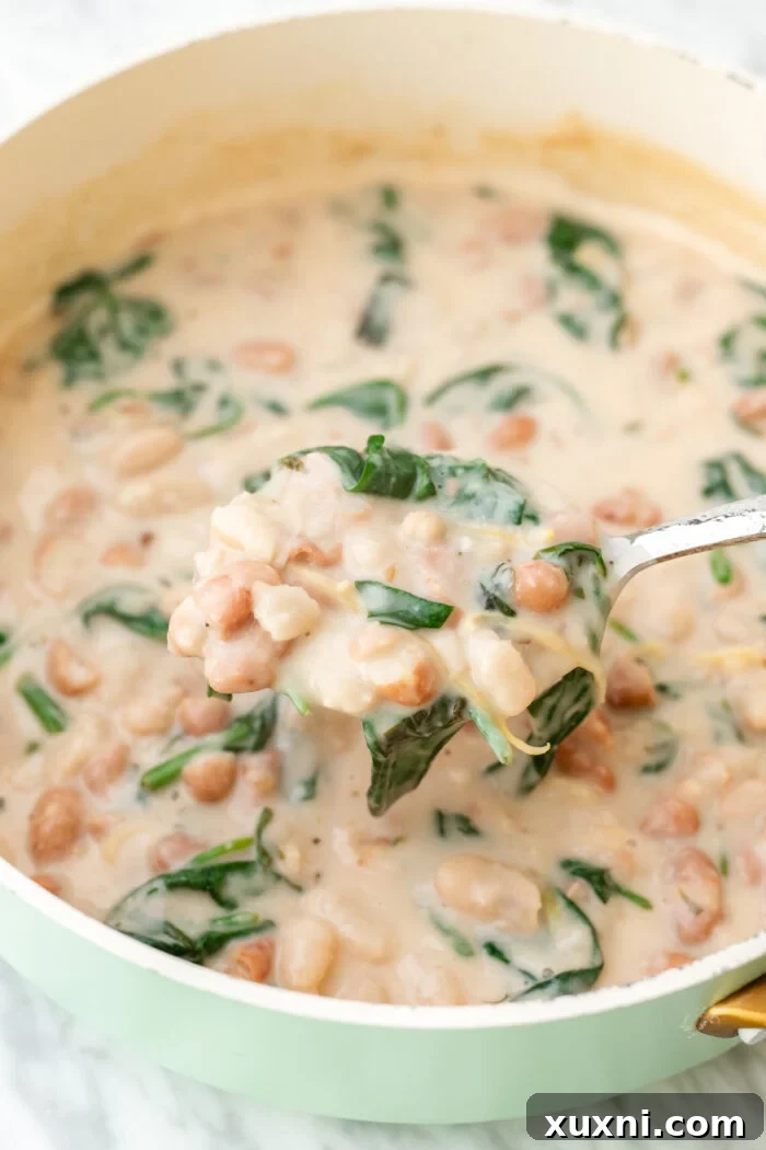 A close-up shot of creamy lemon butter beans with spinach in a white bowl, ready to be served.