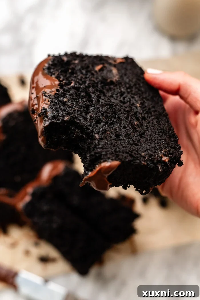 bitten chocolate loaf cake