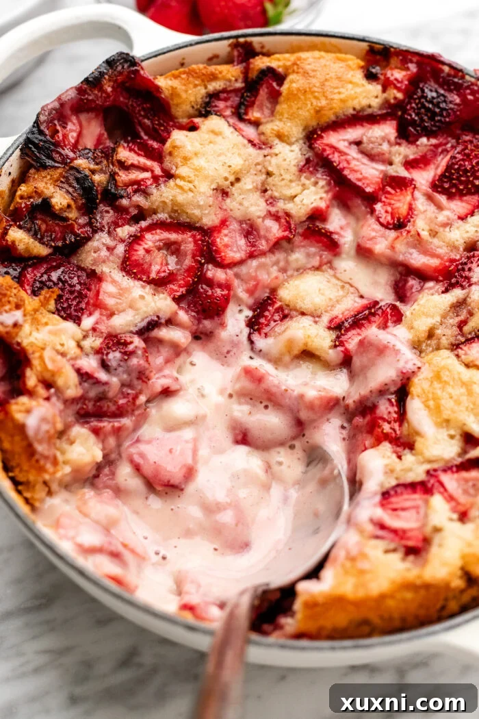 Vegan Strawberry Cheesecake Cobbler Recipe for Summer Desserts 11 scooped vegan strawberry cobbler