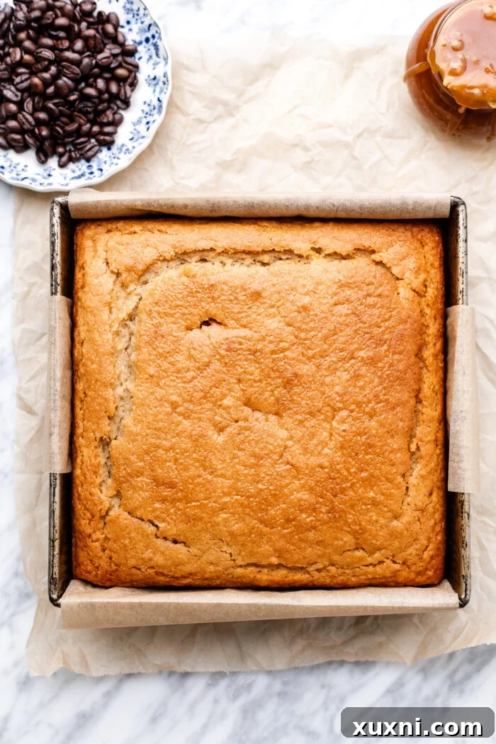 Moist Salted Caramel Latte Cake — Vegan Recipe 4 baked cake