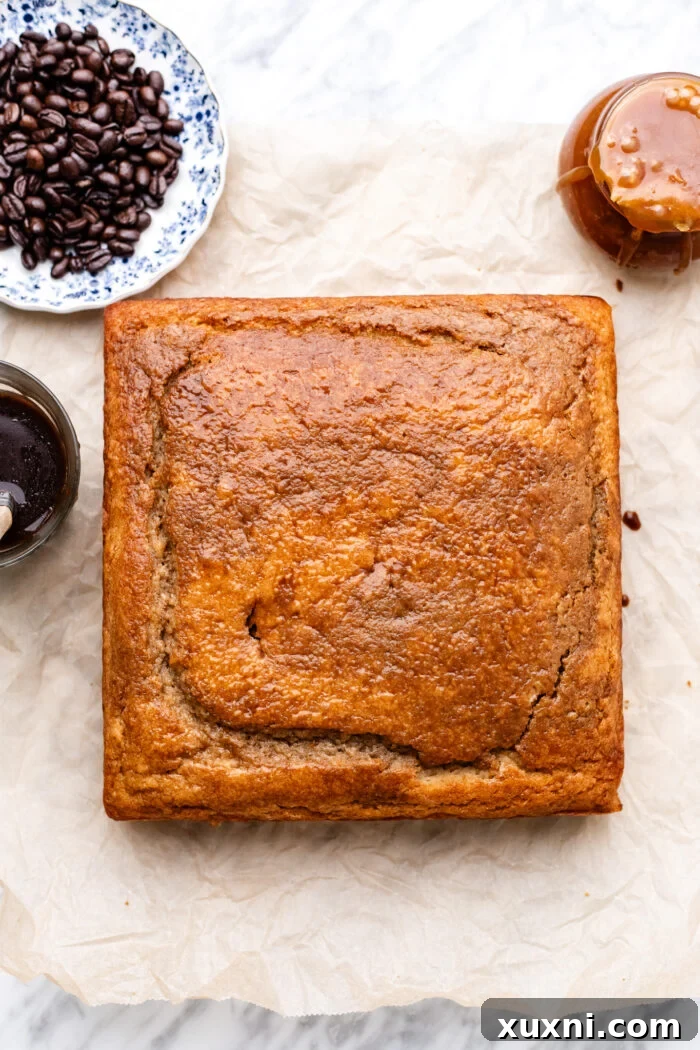 Moist Salted Caramel Latte Cake — Vegan Recipe 5 espresso soaked cake