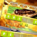 Palavra embaralhada para ser capaz de filhos e filhas